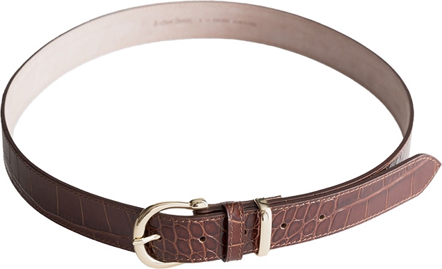 & Other Stories Croco Leather Belt | Bond Lifestyle